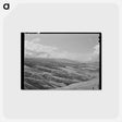 アートポストカード-Wheat Lands, Idaho County, Idaho
 - ラッセル リー Postcard.