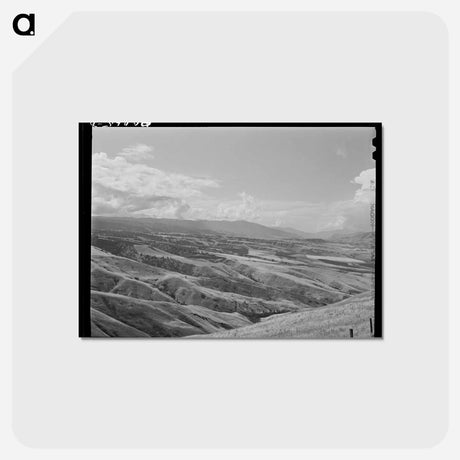 アートポストカード-Wheat Lands, Idaho County, Idaho
 - ラッセル リー Postcard.