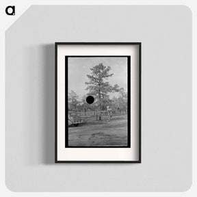 アートポスター-Land Donation Sign, Central New Jersey Pine Area
 - ラッセル リー Poster.