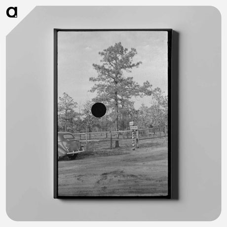 アートパネル-Land Donation Sign, Central New Jersey Pine Area
 - ラッセル リー Canvas.
