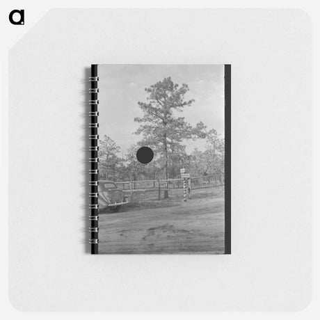 アートメモ帳-Land Donation Sign, Central New Jersey Pine Area
 - ラッセル リー Memo.