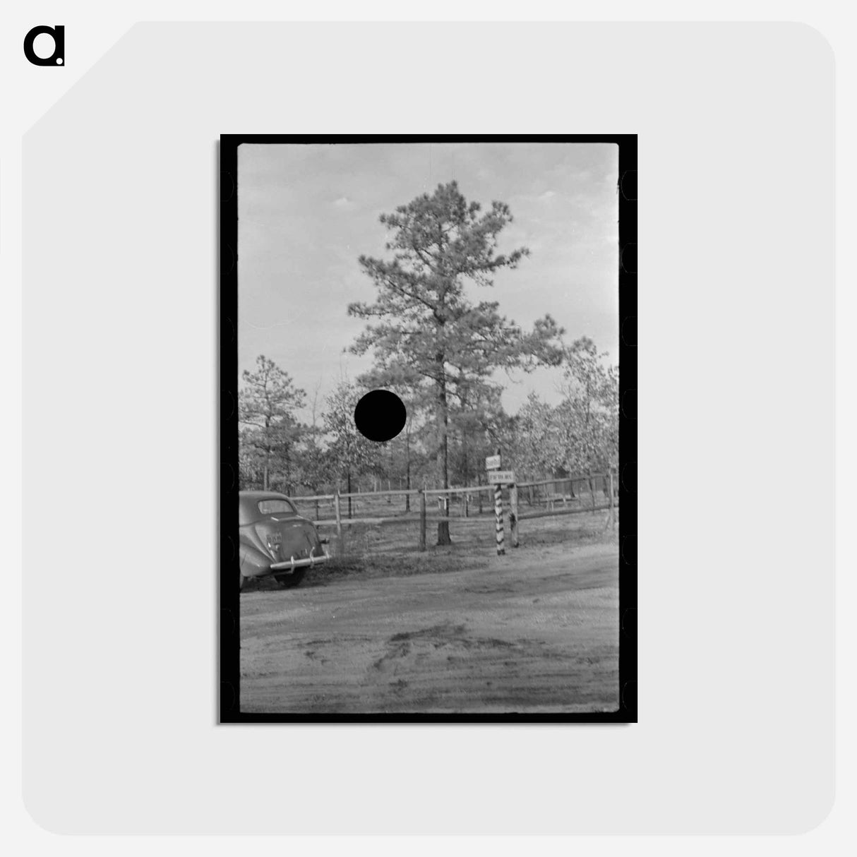 アートポストカード-Land Donation Sign, Central New Jersey Pine Area
 - ラッセル リー Postcard.