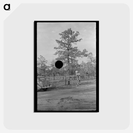 アートポストカード-Land Donation Sign, Central New Jersey Pine Area
 - ラッセル リー Postcard.