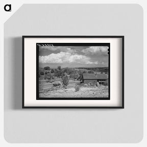 アートポスター-Farmstead, Concho, Arizona
 - ラッセル リー Poster.