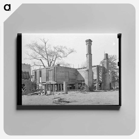アートパネル-Ruins of Plantation House near Marshall, Texas
 - ラッセル リー Canvas.