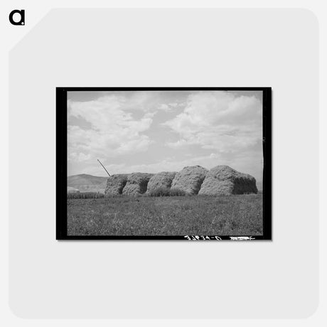 アートポストカード-Stacks of Hay, Cornish, Utah
 - ラッセル リー Postcard.