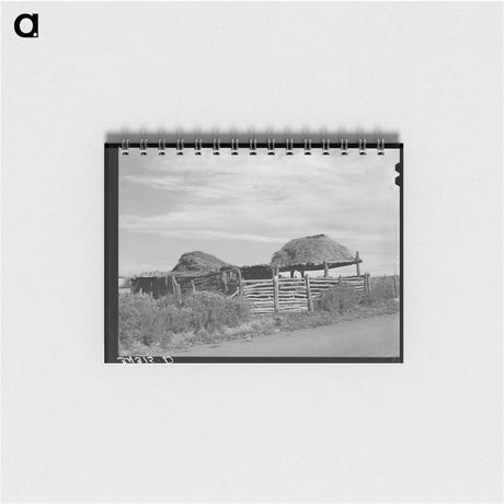アートメモ帳-Stock Shelters near Questa, New Mexico
 - ラッセル リー Memo.