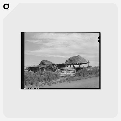 アートポストカード-Stock Shelters near Questa, New Mexico
 - ラッセル リー Postcard.