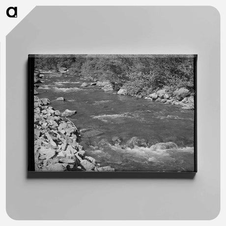 アートパネル-Mountain Stream, Logan River, Cache County, Utah
 - ラッセル リー Canvas.