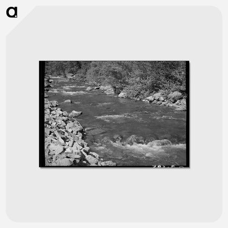 アートポストカード-Mountain Stream, Logan River, Cache County, Utah
 - ラッセル リー Postcard.