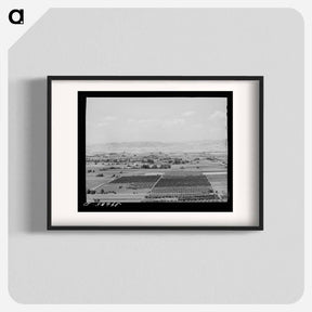 アートポスター-Cherry Orchards near Emmett, Gem County, Idaho
 - ラッセル リー Poster.