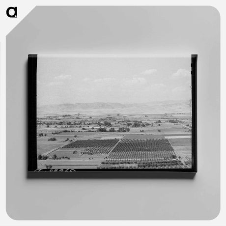 アートパネル-Cherry Orchards near Emmett, Gem County, Idaho
 - ラッセル リー Canvas.