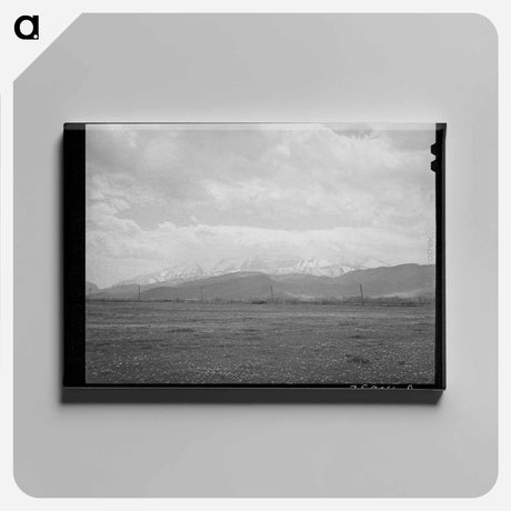 アートパネル-Spring Pasture, Heber, Utah
 - ラッセル リー Canvas.
