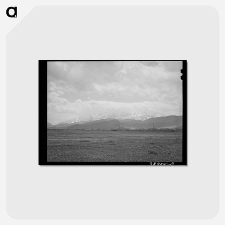 アートポストカード-Spring Pasture, Heber, Utah
 - ラッセル リー Postcard.