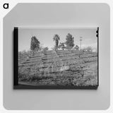 アートパネル-Orchard in Placer County
 - ラッセル リー Canvas.