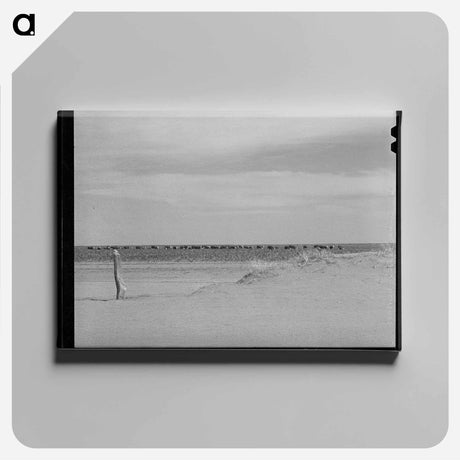 アートパネル-Soil Conservation, Baca County, Colorado
 - ラッセル リー Canvas.