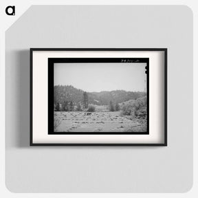 アートポスター-Haying. Garden Valley, Boise County, Idaho
 - ラッセル リー Poster.
