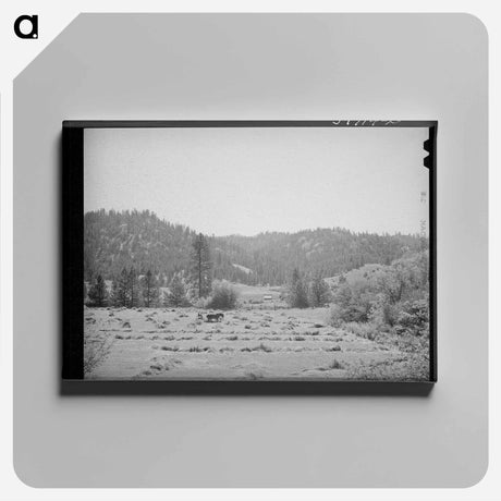 アートパネル-Haying. Garden Valley, Boise County, Idaho
 - ラッセル リー Canvas.