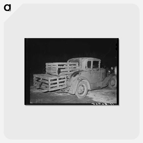 アートポストカード-Automobile with Turkeys at Cooperative Poultry Warehouse
 - ラッセル リー Postcard.