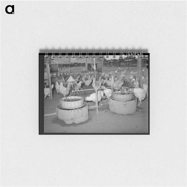 アートメモ帳-Drinking Fountains for Chickens, Chandler Unit, Maricopa County, Arizona
 - ラッセル リー Memo.