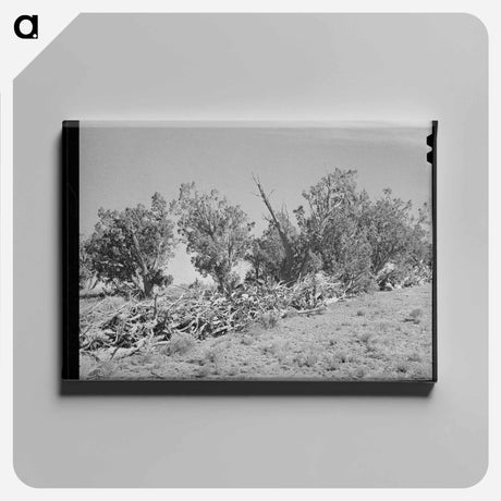 アートパネル-Brush Fence, Pie Town
 - ラッセル リー Canvas.