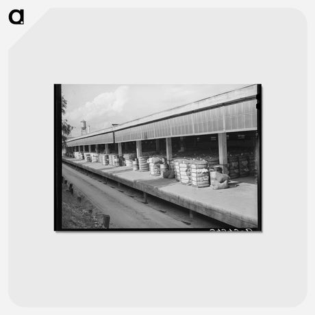 アートポストカード-Loading Dock of Compress, Houston, Texas
 - ラッセル リー Postcard.