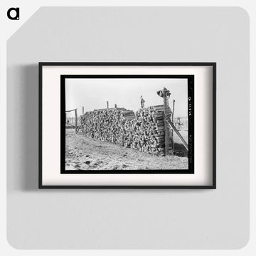 Pile of Wood on Farm near Transylvania Project
 - ラッセル リー Poster.