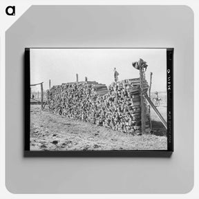 アートパネル-Pile of Wood on Farm near Transylvania Project
 - ラッセル リー Canvas.