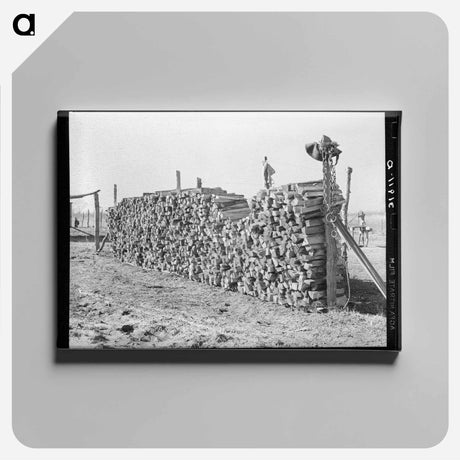 アートパネル-Pile of Wood on Farm near Transylvania Project
 - ラッセル リー Canvas.