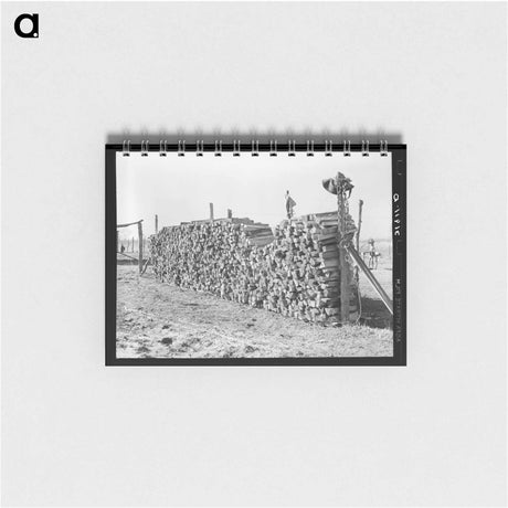 アートメモ帳-Pile of Wood on Farm near Transylvania Project
 - ラッセル リー Memo.