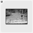 アートポストカード-Putting Log into Place Before Hewing into Tie, Pie Town, New Mexico
 - ラッセル リー Postcard.