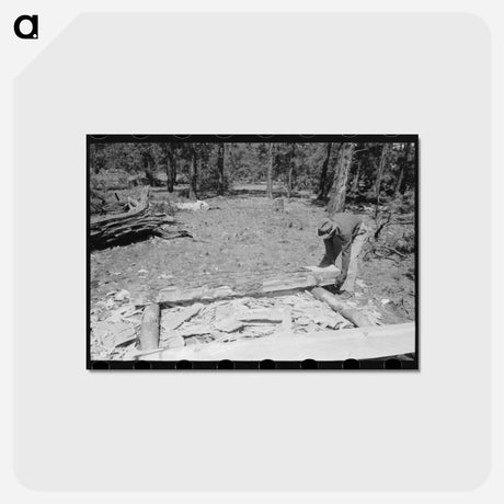 アートポストカード-Putting Log into Place Before Hewing into Tie, Pie Town, New Mexico
 - ラッセル リー Postcard.