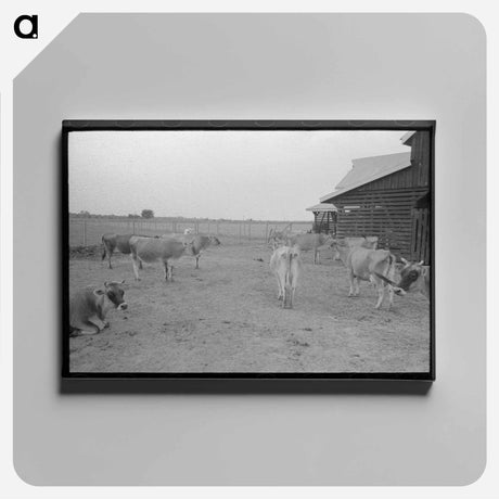アートパネル-Bull, Lake Dick Project, Arkansas
 - ラッセル リー Canvas.