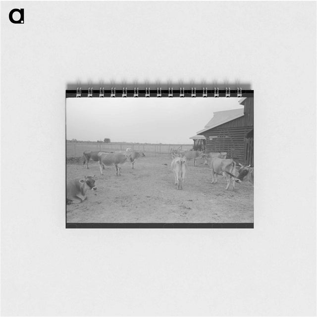 アートメモ帳-Bull, Lake Dick Project, Arkansas
 - ラッセル リー Memo.