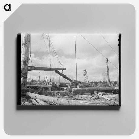 アートパネル-Yarding Logs at Long Bell Lumber Company
 - ラッセル リー Canvas.