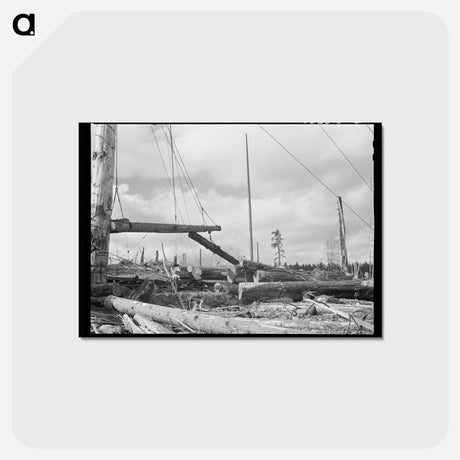 アートポストカード-Yarding Logs at Long Bell Lumber Company
 - ラッセル リー Postcard.