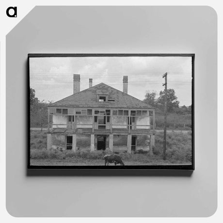 アートパネル-Abandoned Plantation Home, North of Destrehan, Louisiana
 - ラッセル リー Canvas.