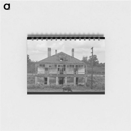 アートメモ帳-Abandoned Plantation Home, North of Destrehan, Louisiana
 - ラッセル リー Memo.