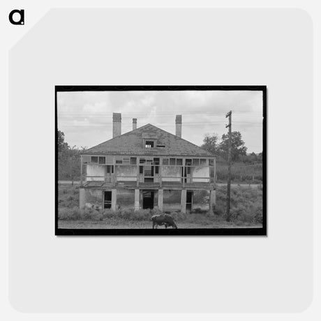 アートポストカード-Abandoned Plantation Home, North of Destrehan, Louisiana
 - ラッセル リー Postcard.