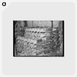 アートポストカード-Dressed Turkeys, Cold Storage Plant, Brownwood, Texas
 - ラッセル リー Postcard.