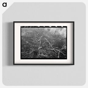 アートポスター-Grass fire, Malheur County, Oregon
 - ラッセル リー Poster.