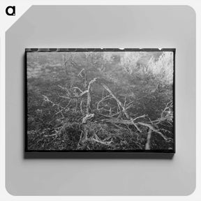 アートパネル-Grass fire, Malheur County, Oregon
 - ラッセル リー Canvas.
