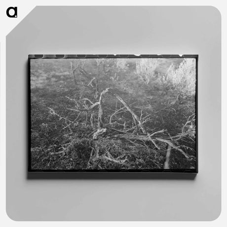 アートパネル-Grass fire, Malheur County, Oregon
 - ラッセル リー Canvas.