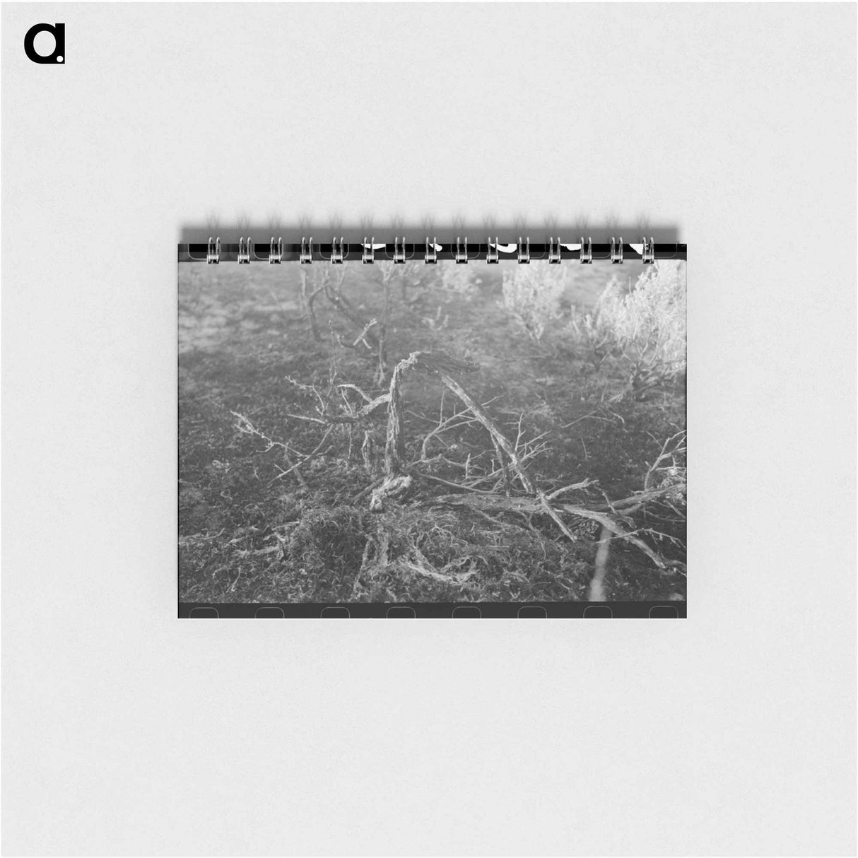 アートメモ帳-Grass fire, Malheur County, Oregon
 - ラッセル リー Memo.