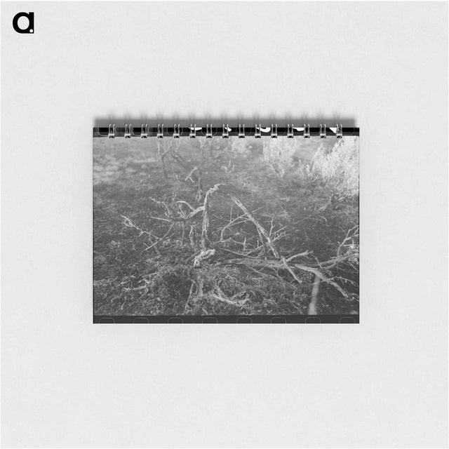 アートメモ帳-Grass fire, Malheur County, Oregon
 - ラッセル リー Memo.