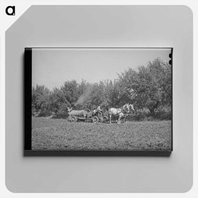 アートパネル-FSA Cooperative Sprayer in Action, Cache County, Utah
 - ラッセル リー Canvas.