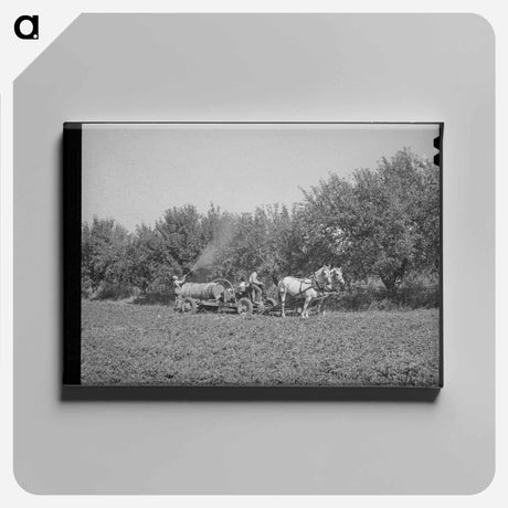 アートパネル-FSA Cooperative Sprayer in Action, Cache County, Utah
 - ラッセル リー Canvas.