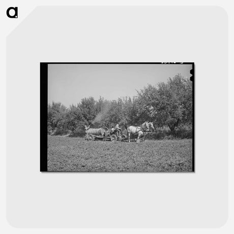 アートポストカード-FSA Cooperative Sprayer in Action, Cache County, Utah
 - ラッセル リー Postcard.