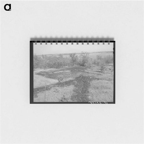 アートメモ帳-Oil Draining into Slush Pit, Slick, Oklahoma
 - ラッセル リー Memo.