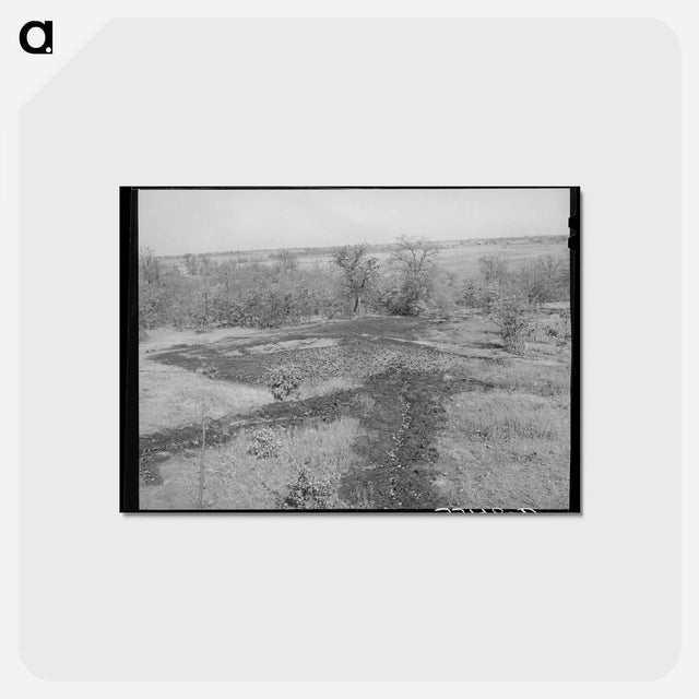 アートポストカード-Oil Draining into Slush Pit, Slick, Oklahoma
 - ラッセル リー Postcard.